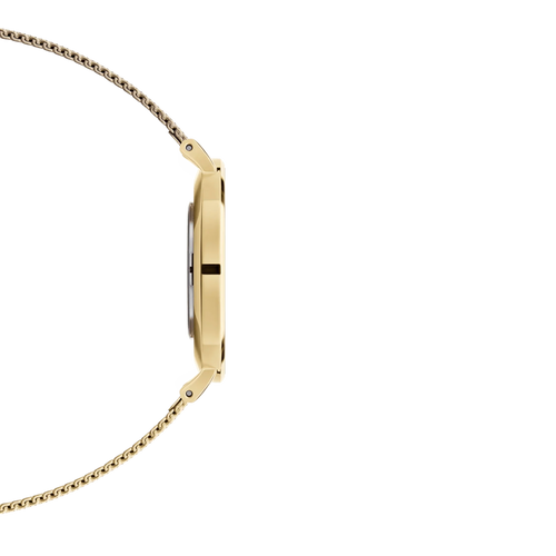 Daniel Wellington Ladies Watch Dw00100346