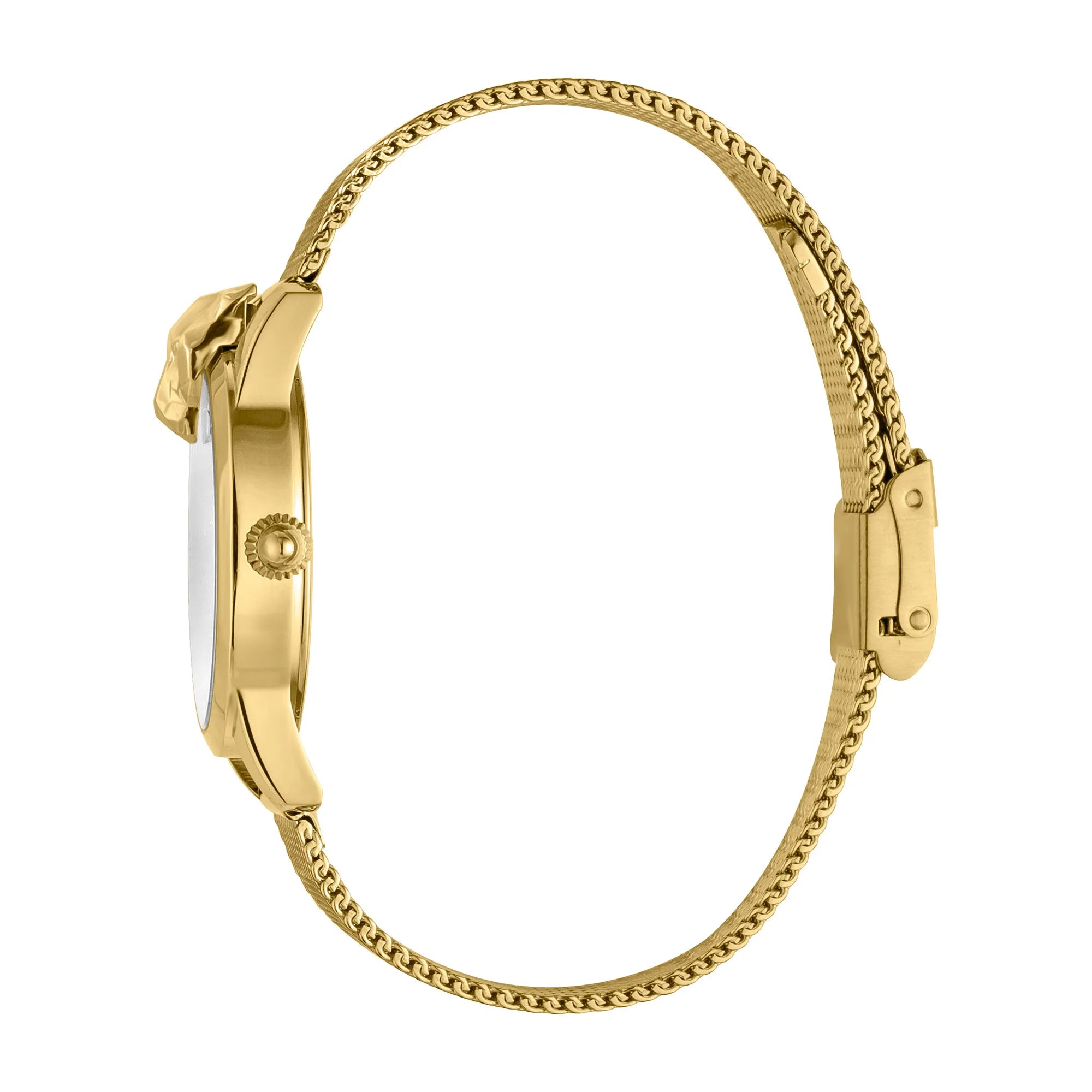 Just Cavalli JC Shine 2 Yellow Gold